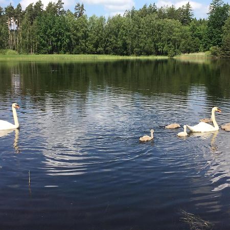 Apartmány U Pařezáče Humpolec Exterior foto